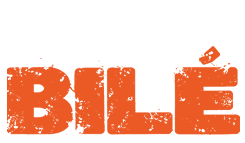dider bile logo